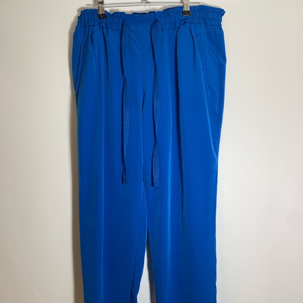 Zara pants sz M elastic waist band